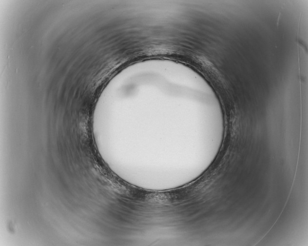 X0000101671217200807311450