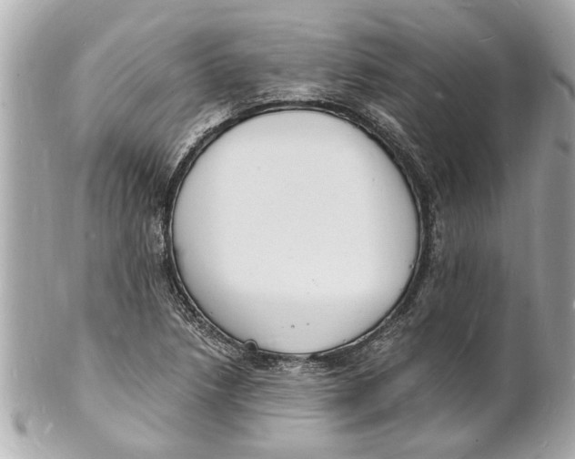 X0000101671218200807311450