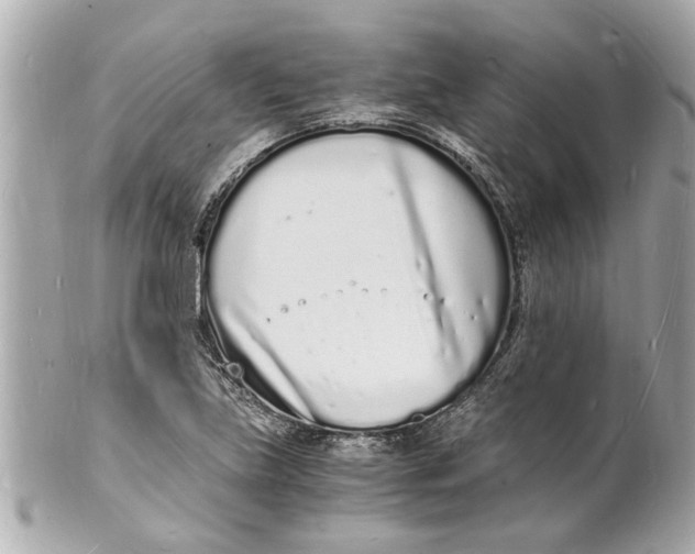 X0000101671219200807311450