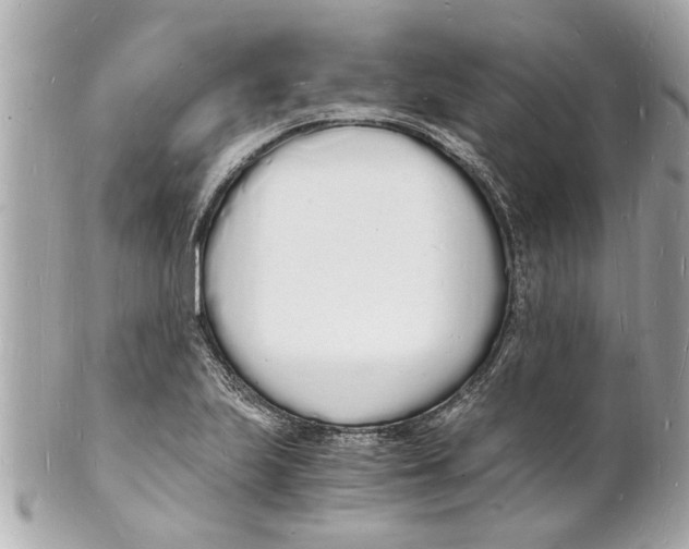 X0000101671223200807311450