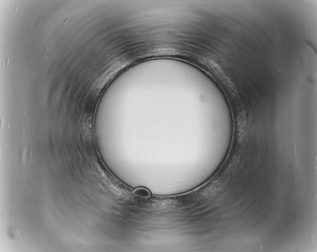X0000101671225200807311450