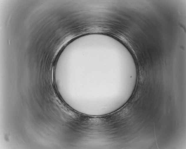 X0000101671227200807311450