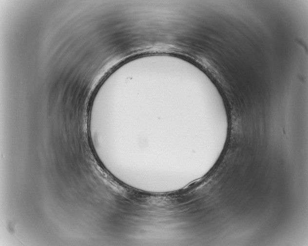 X0000101671232200807311450