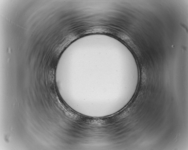 X0000101671233200807311450