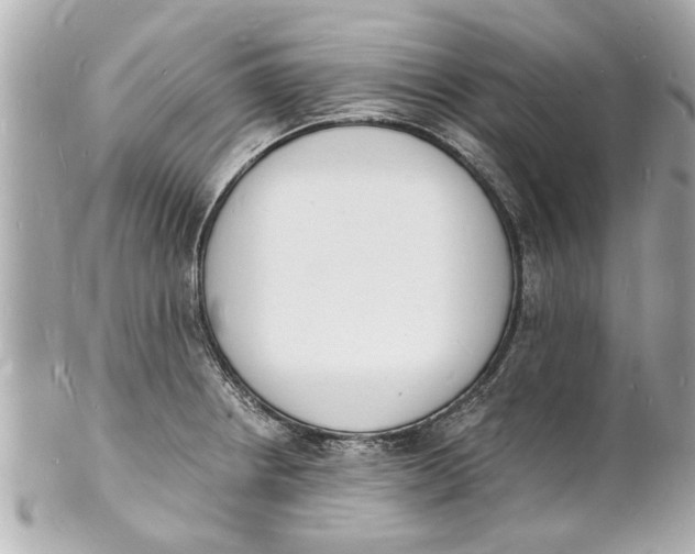 X0000101671234200807311450