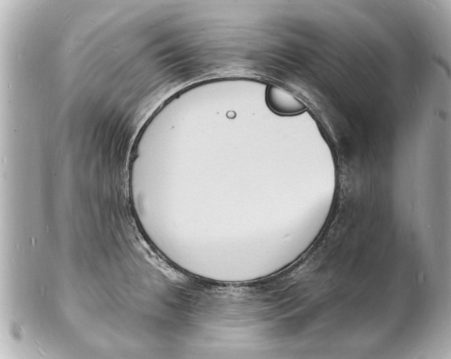 X0000101671236200807311450