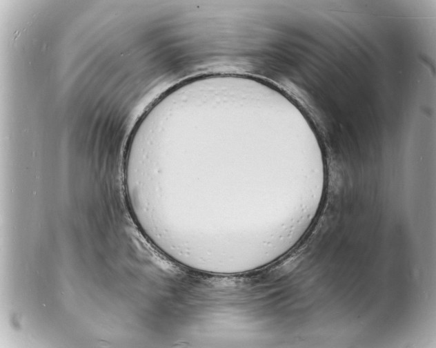 X0000101671240200807311450