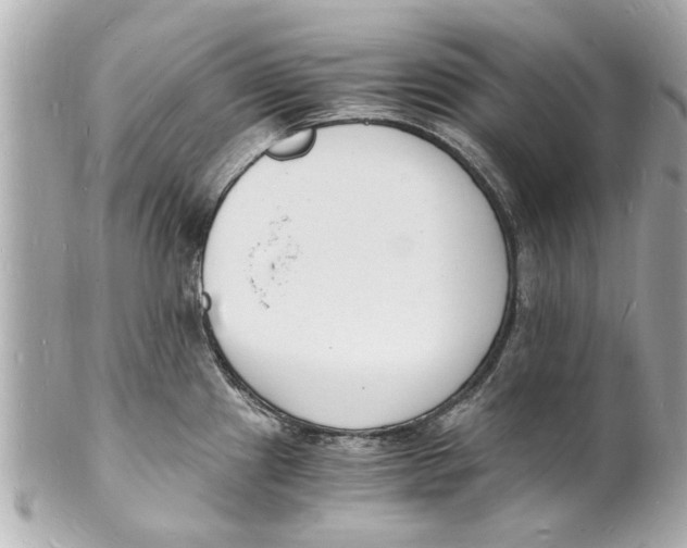 X0000101671241200807311450