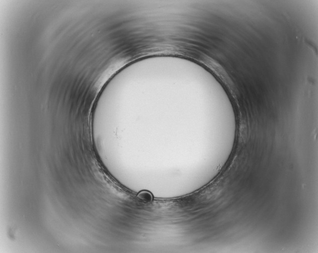 X0000101671242200807311450