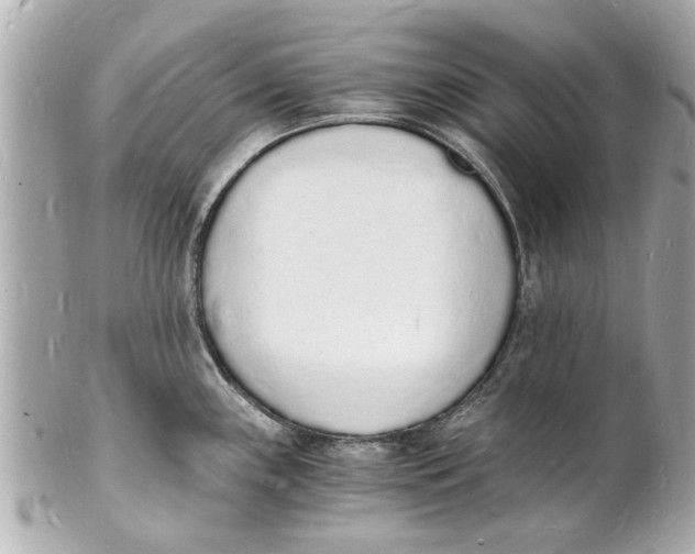 X0000101671243200807311450