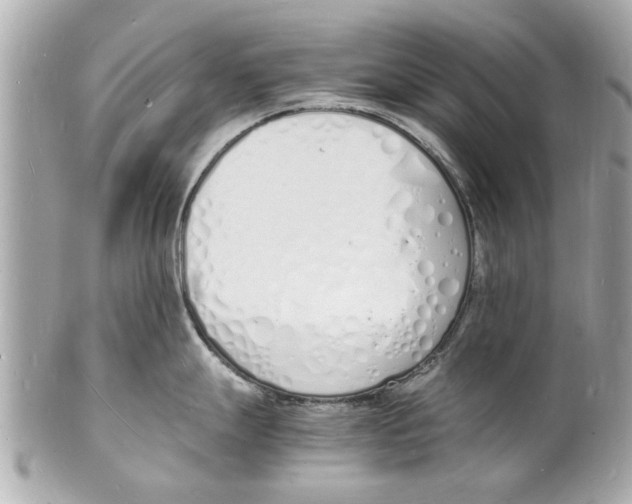 X0000101671247200807311450