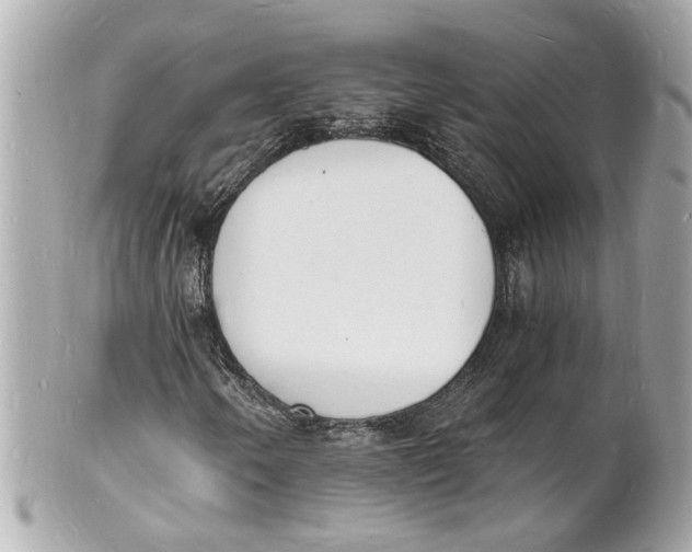 X0000101671250200807311449