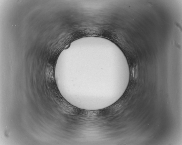 X0000101671251200807311449
