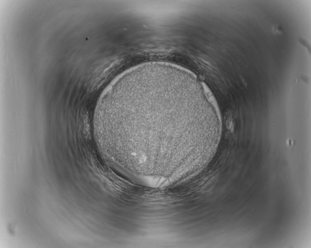 X0000101671252200807311449