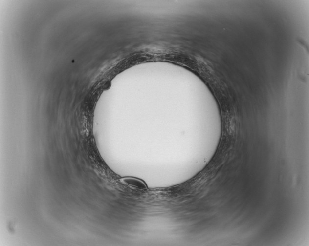 X0000101671253200807311449