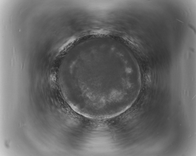 X0000101671254200807311449