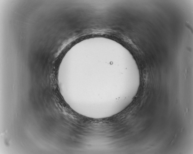 X0000101671256200807311449