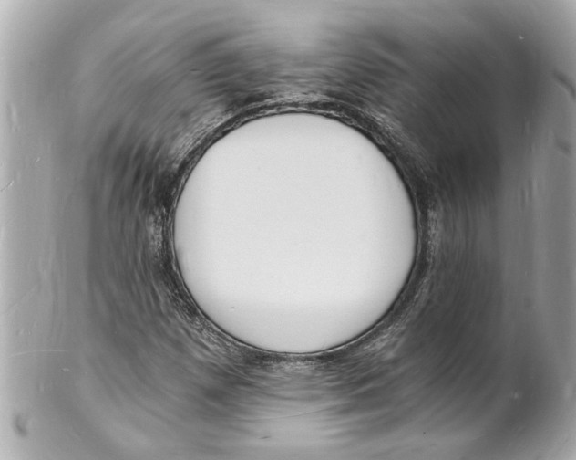 X0000101671257200807311449