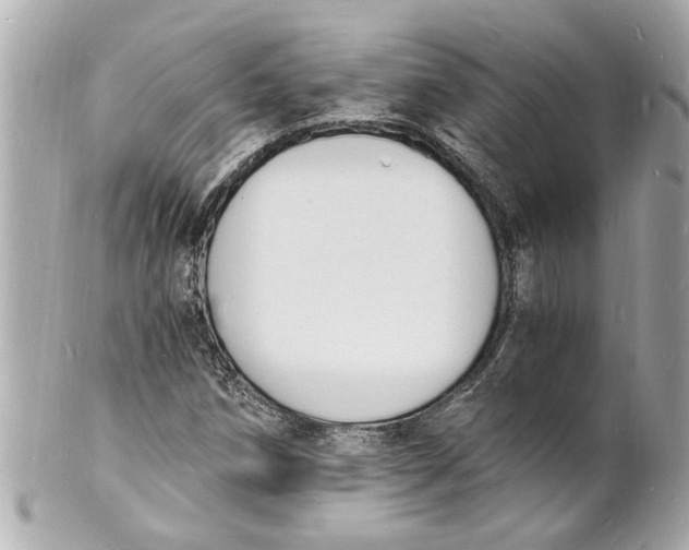 X0000101671258200807311449