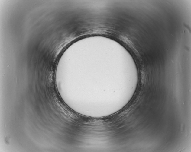 X0000101671260200807311449