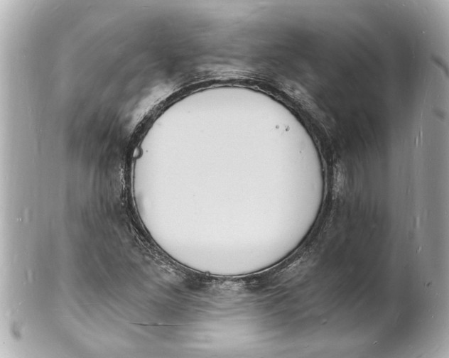 X0000101671261200807311449