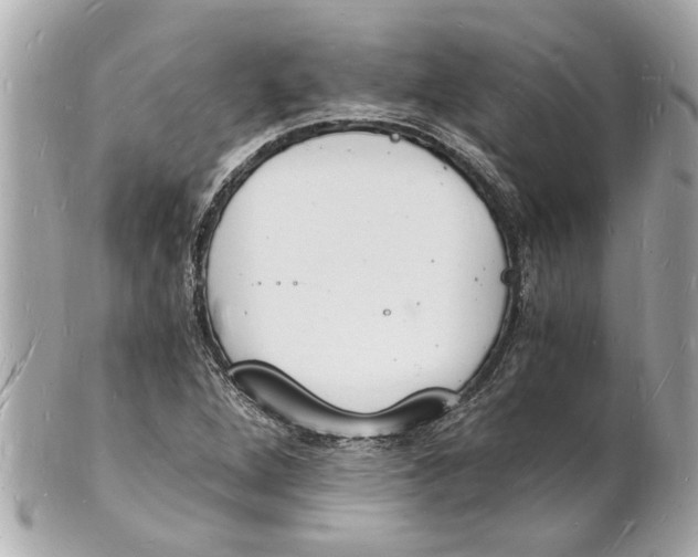 X0000101671264200807311449