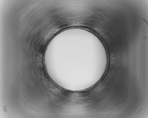 X0000101671265200807311449