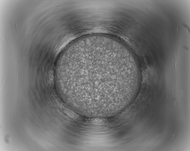 X0000101671266200807311449