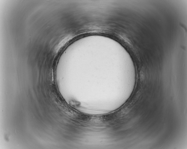 X0000101671267200807311449