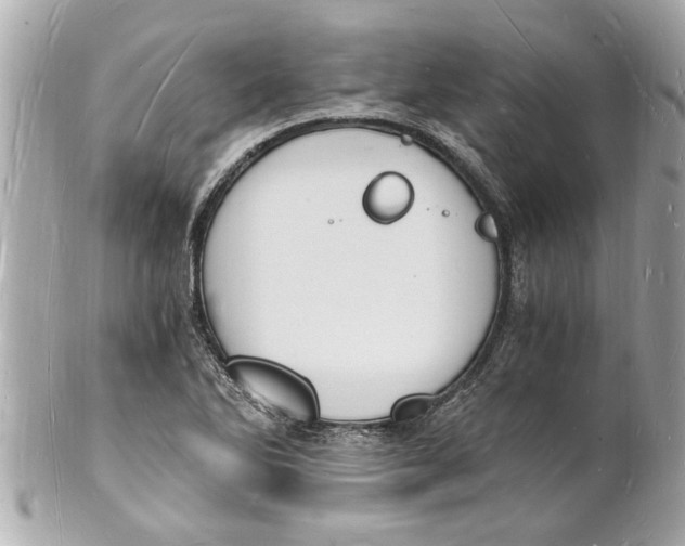 X0000101671270200807311449