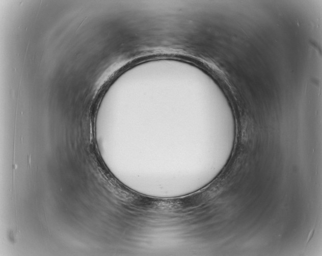 X0000101671271200807311449