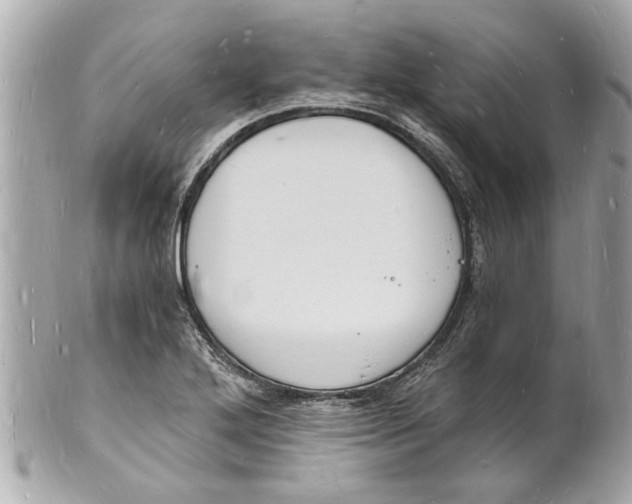 X0000101671272200807311449