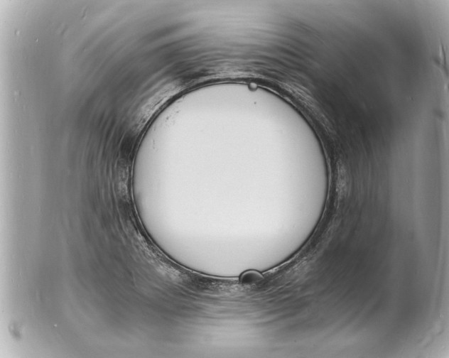 X0000101671273200807311449