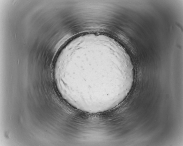 X0000101671275200807311449