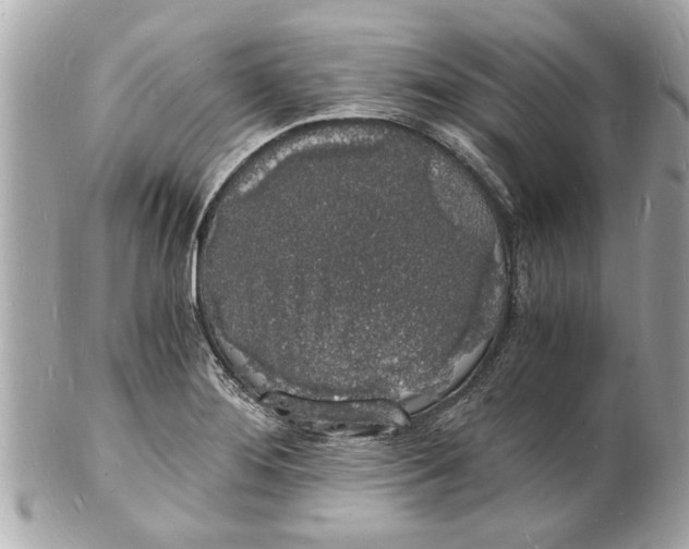 X0000101671276200807311449