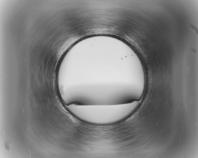 X0000101671277200807311449