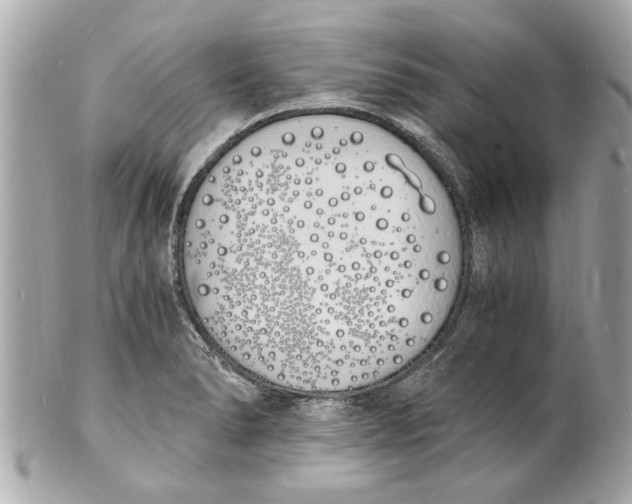 X0000101671278200807311449