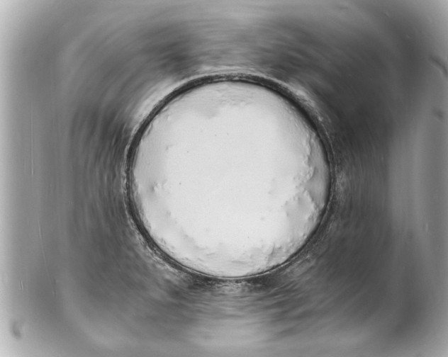 X0000101671279200807311449