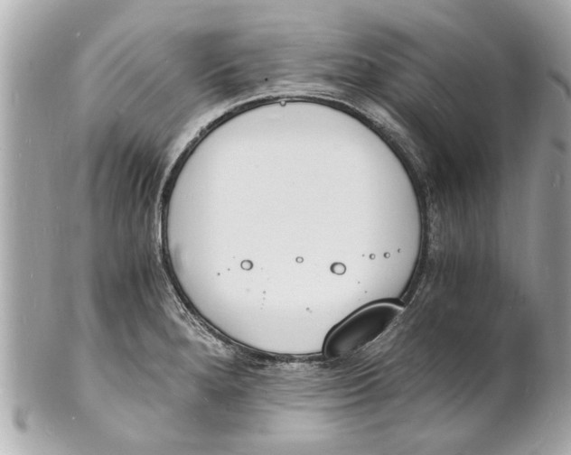 X0000101671280200807311449