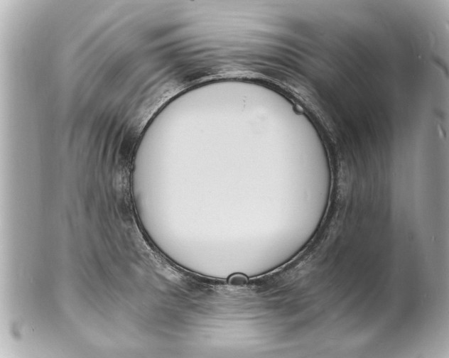 X0000101671281200807311449