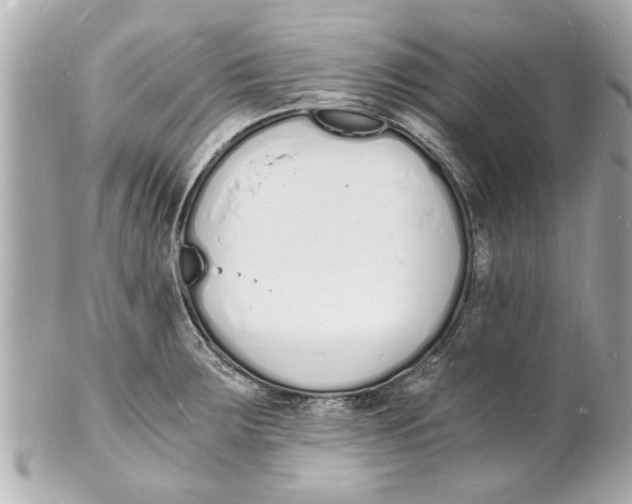 X0000101671283200807311449