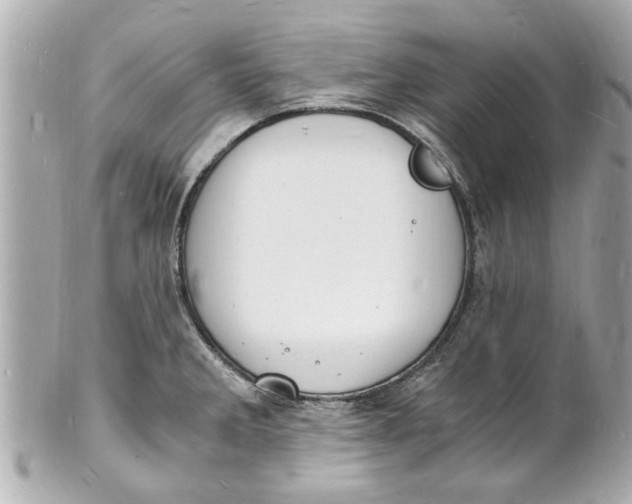 X0000101671285200807311449