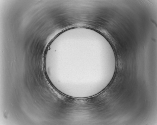 X0000101671286200807311449
