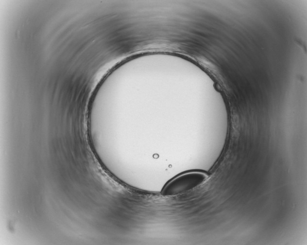 X0000101671288200807311449