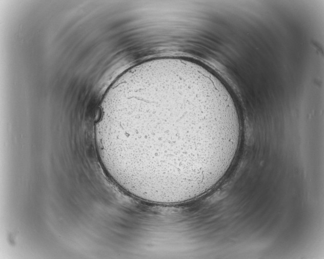 X0000101671289200807311449