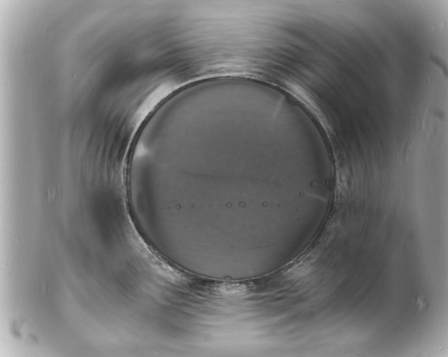 X0000101671291200807311449