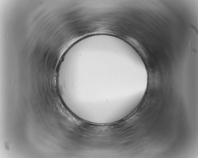 X0000101671292200807311449