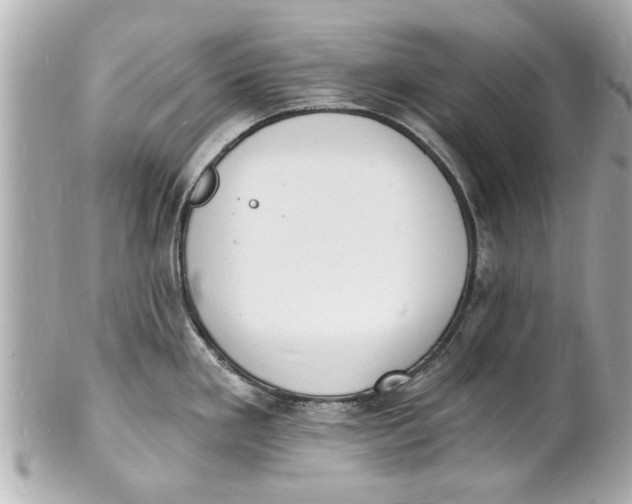 X0000101671293200807311449
