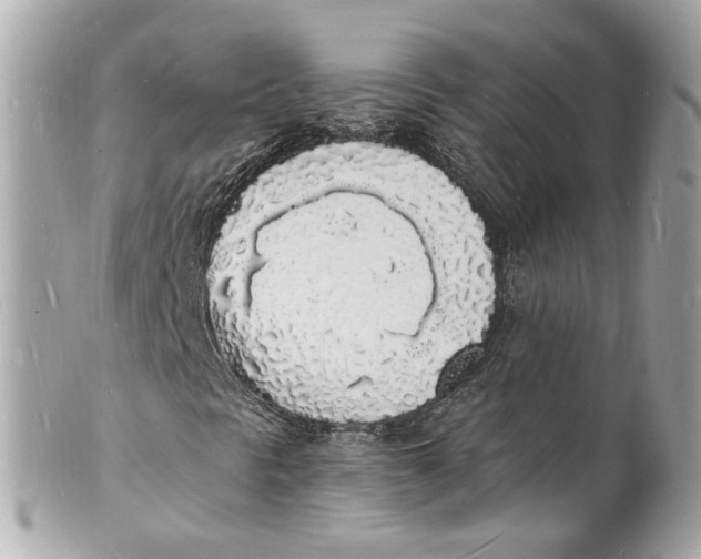 X0000101671297200807311448