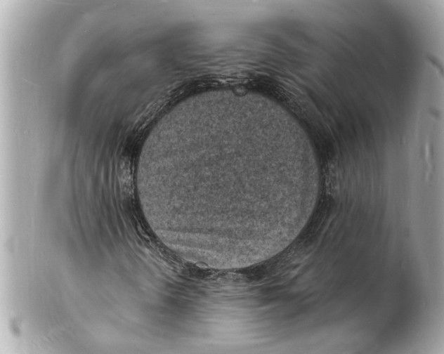 X0000101671298200807311448
